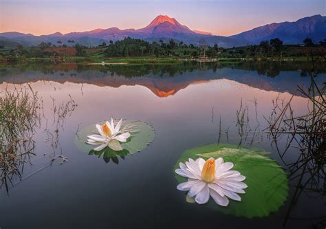DAVAO TOURIST SPOTS + TRAVEL GUIDE, HOTELS.